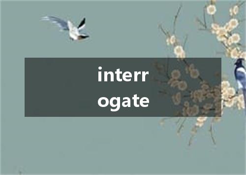 interrogate是什么意思