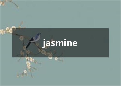 jasmine是什么意思