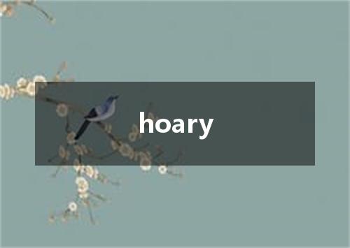 hoary是什么意思