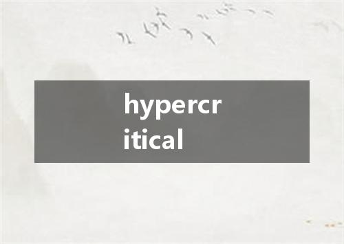 hypercritical是什么意思