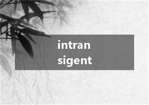 intransigent是什么意思