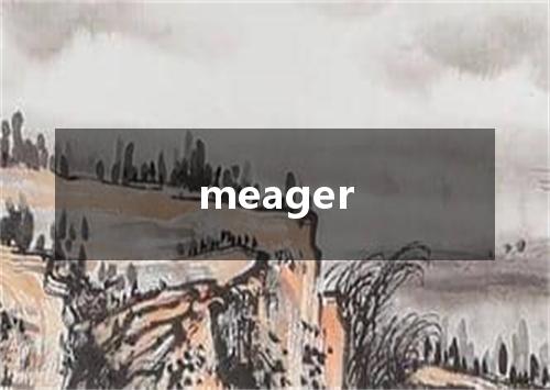 meager是什么意思