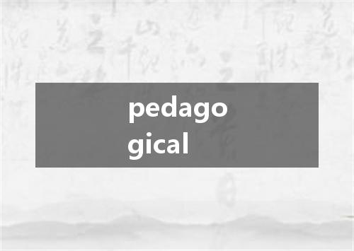 pedagogical是什么意思
