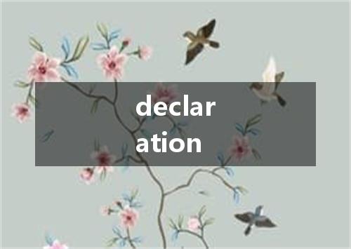declaration是什么意思