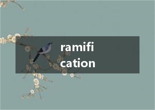 ramification是什么意思