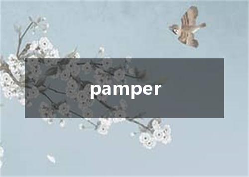 pamper是什么意思