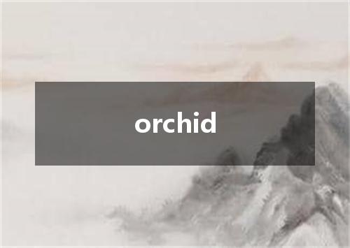 orchid是什么意思