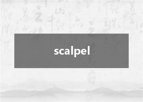 scalpel是什么意思