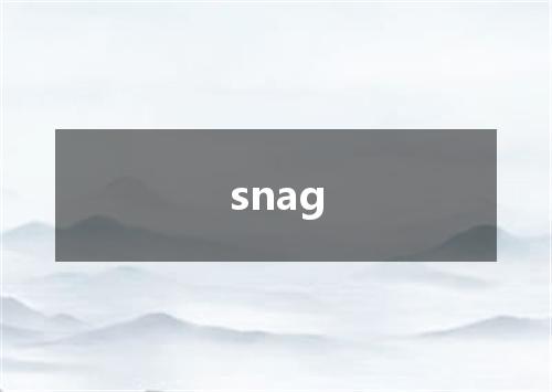 snag是什么意思