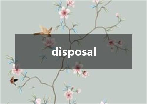 disposal是什么意思