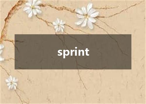 sprint是什么意思