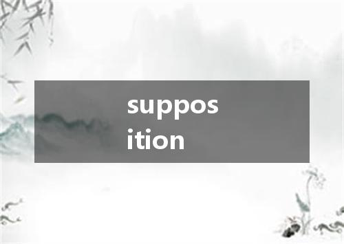 supposition是什么意思