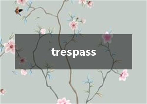 trespass是什么意思