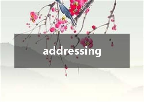 addressing是什么意思