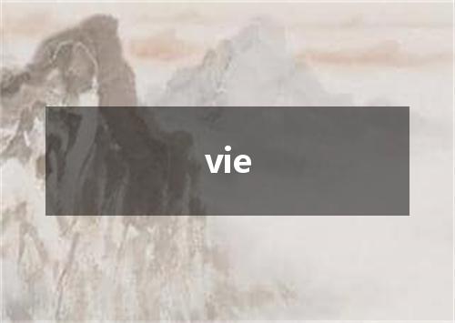 vie是什么意思