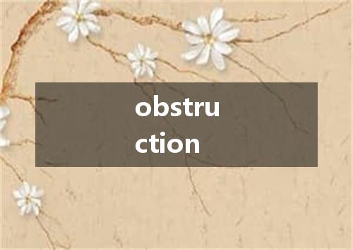 obstruction是什么意思