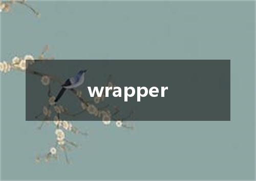 wrapper是什么意思