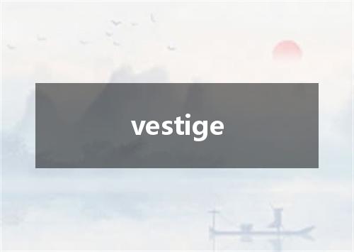 vestige是什么意思
