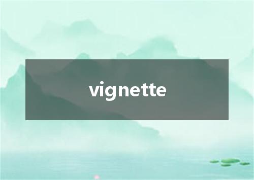 vignette是什么意思