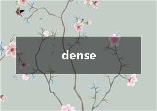 dense是什么意思
