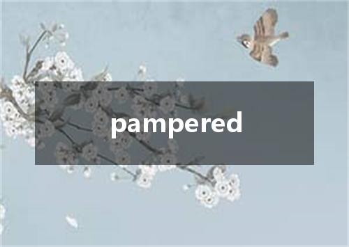 pampered是什么意思