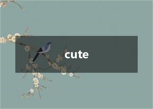 cute是什么意思