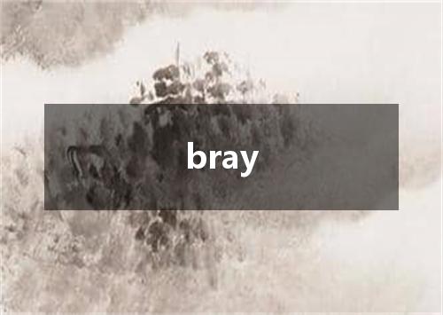 bray是什么意思