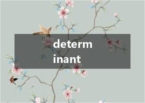 determinant是什么意思
