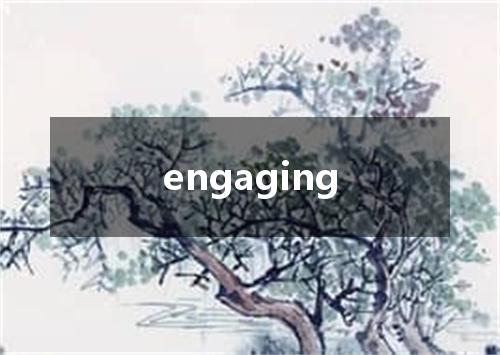 engaging是什么意思