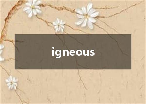 igneous是什么意思