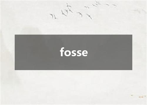 fosse是什么意思