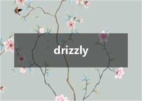 drizzly是什么意思