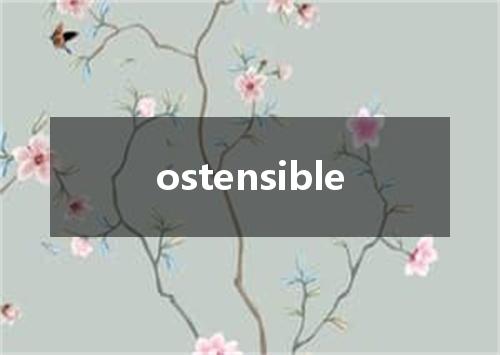 ostensible是什么意思