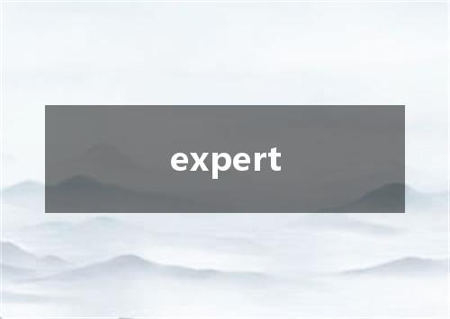 expert是什么意思