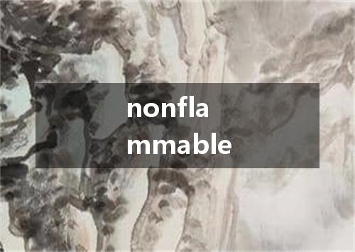 nonflammable是什么意思