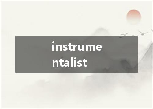 instrumentalist是什么意思