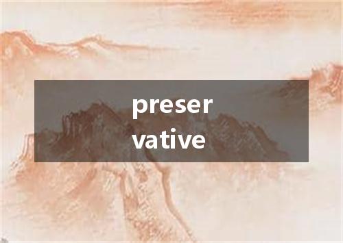 preservative是什么意思