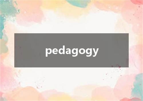 pedagogy是什么意思