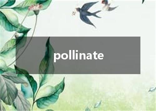 pollinate是什么意思