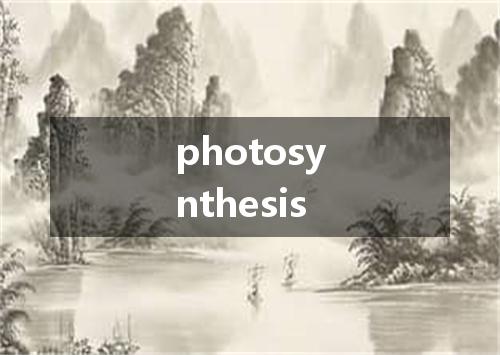 photosynthesis是什么意思