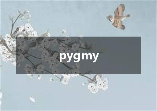 pygmy是什么意思