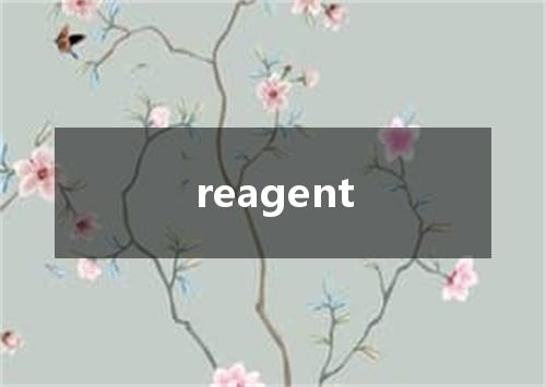 reagent是什么意思