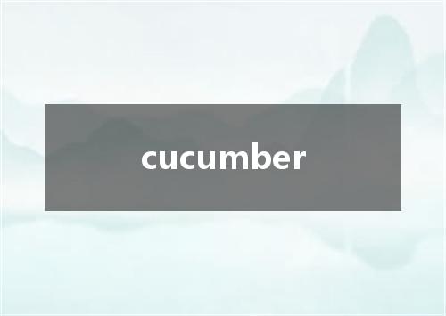 cucumber是什么意思