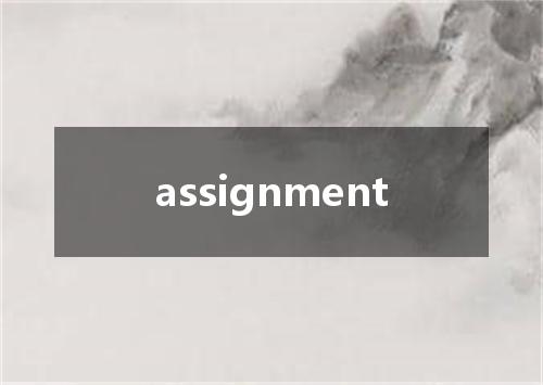 assignment是什么意思