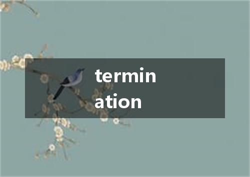 termination是什么意思