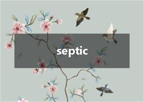 septic是什么意思