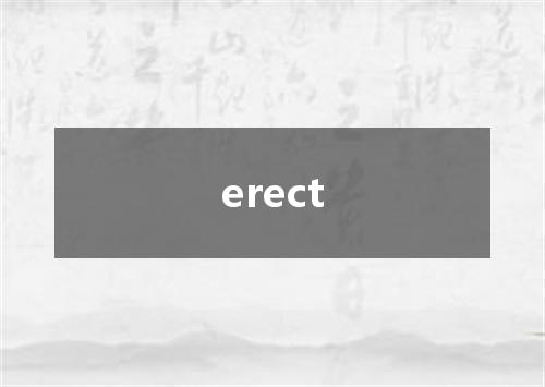 erect是什么意思