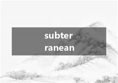 subterranean是什么意思