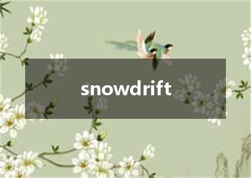 snowdrift是什么意思