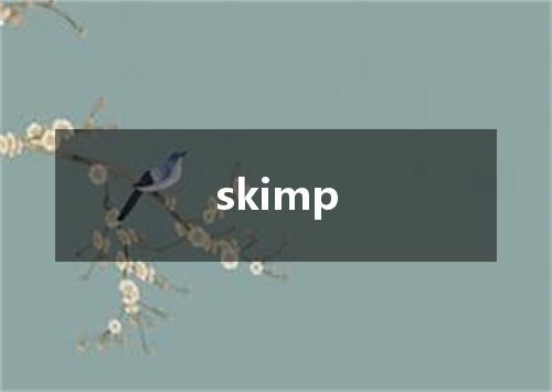 skimp是什么意思